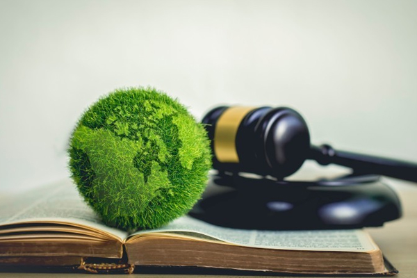 Environmental Law